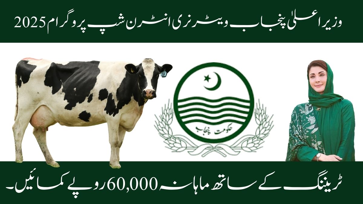 CM Punjab Veterinary Internship Program 2025 – Earn Rs.60,000 Monthly with Training
